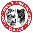 Davao Animal Rescue Volunteers