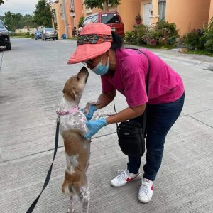 g2 - Davao Animal Rescue Volunteers