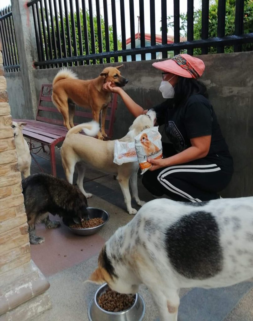 g3 1 - Davao Animal Rescue Volunteers