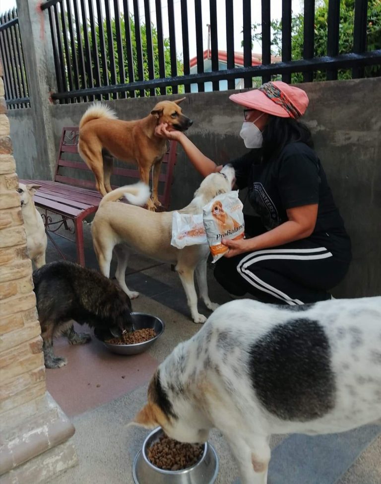 g3 - Davao Animal Rescue Volunteers