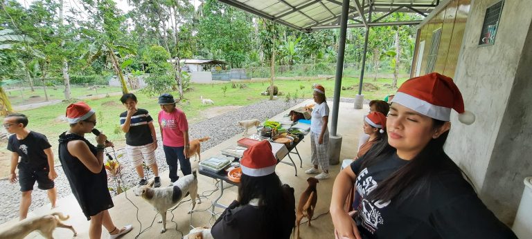 g7 - Davao Animal Rescue Volunteers