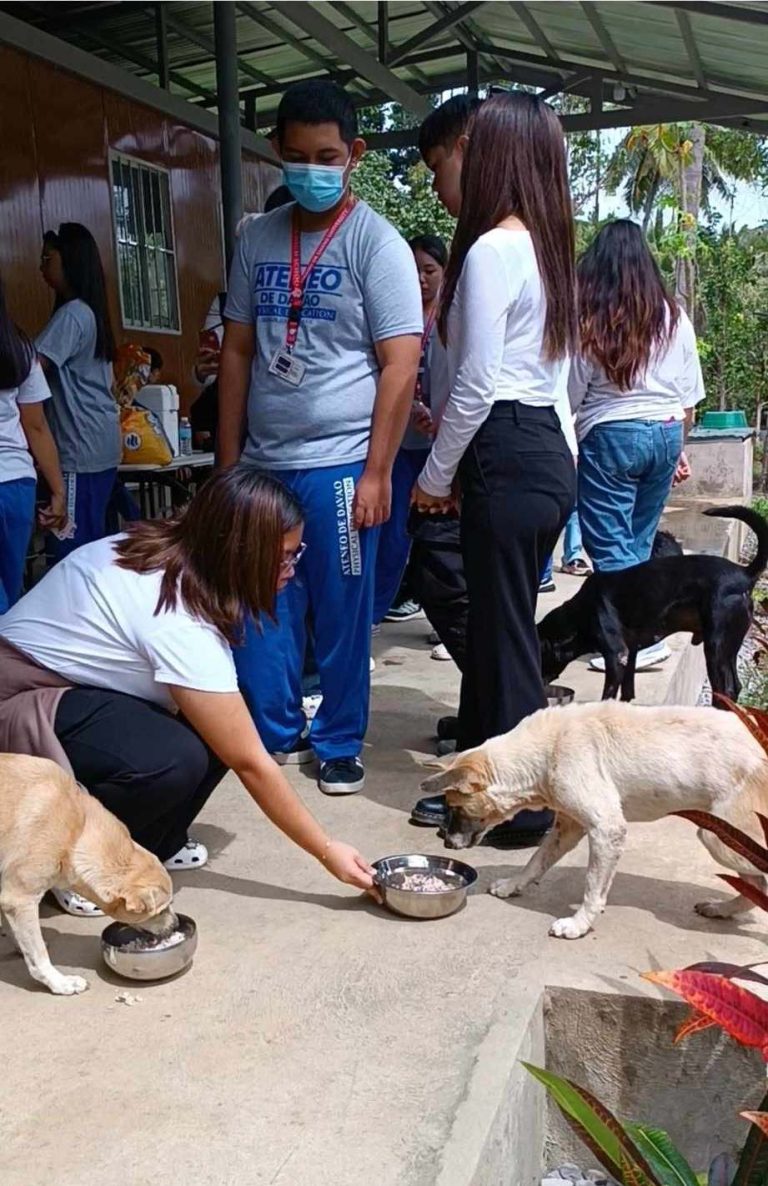 416148431 920255982957076 1429955758703533028 n - Davao Animal Rescue Volunteers