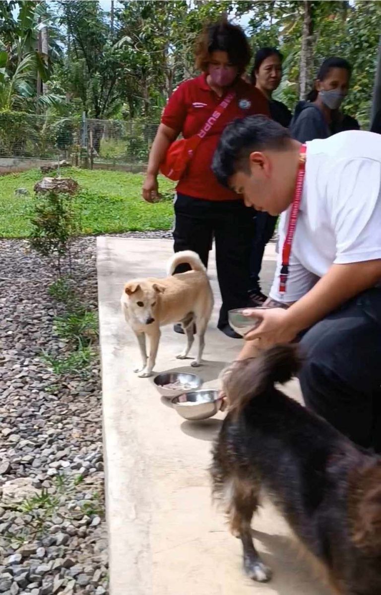 416173086 1049610836095730 6410929172107227244 n - Davao Animal Rescue Volunteers