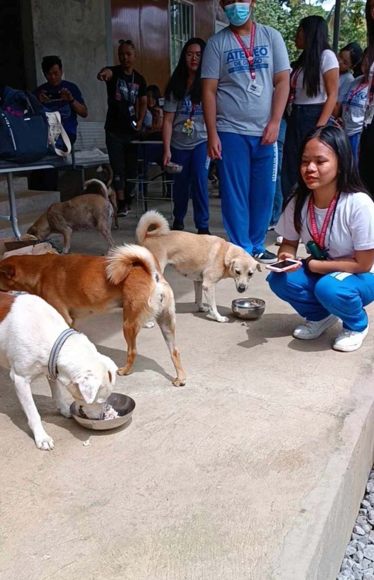 440497053 1552180138674035 4512147009659777598 n - Davao Animal Rescue Volunteers