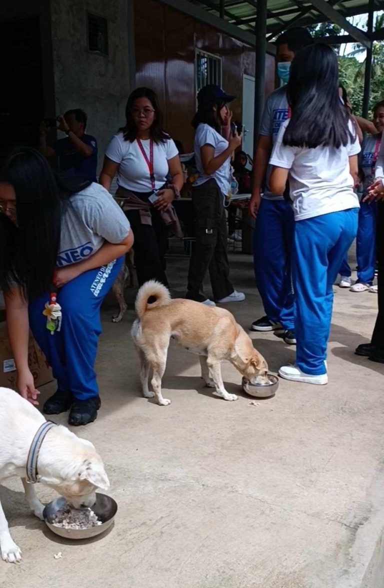 440561102 374761438909625 1154559687263729616 n - Davao Animal Rescue Volunteers